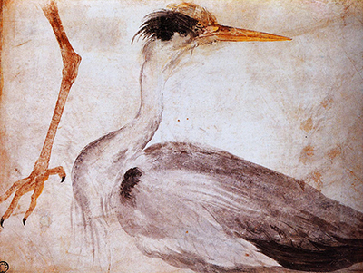 Garza Albrecht Durer